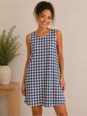 Expressions Blue and White Gingham Dress